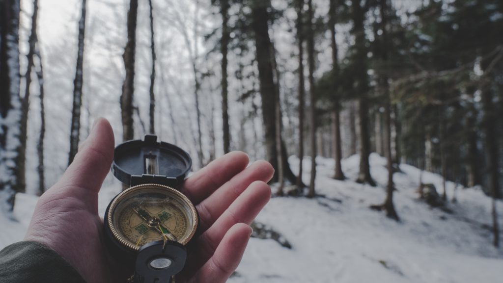 Progetto educativo per la scuola primaria con approfondimento su tematiche relative all'orienteering con laboratorio nel bosco
